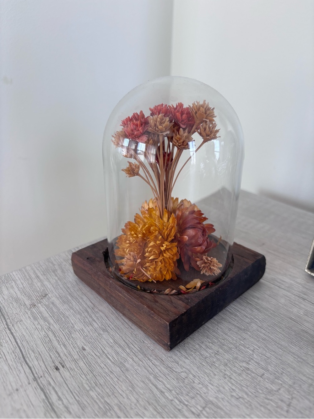 Boho Dried Flower Glass Cloche Decor on Wooden Base